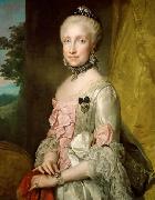 Portrait of Maria Luisa of Spain, Anton Raphael Mengs